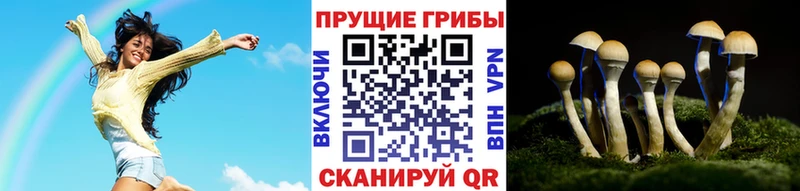 купить  цена  Рудня  Псилоцибиновые грибы ЛСД 